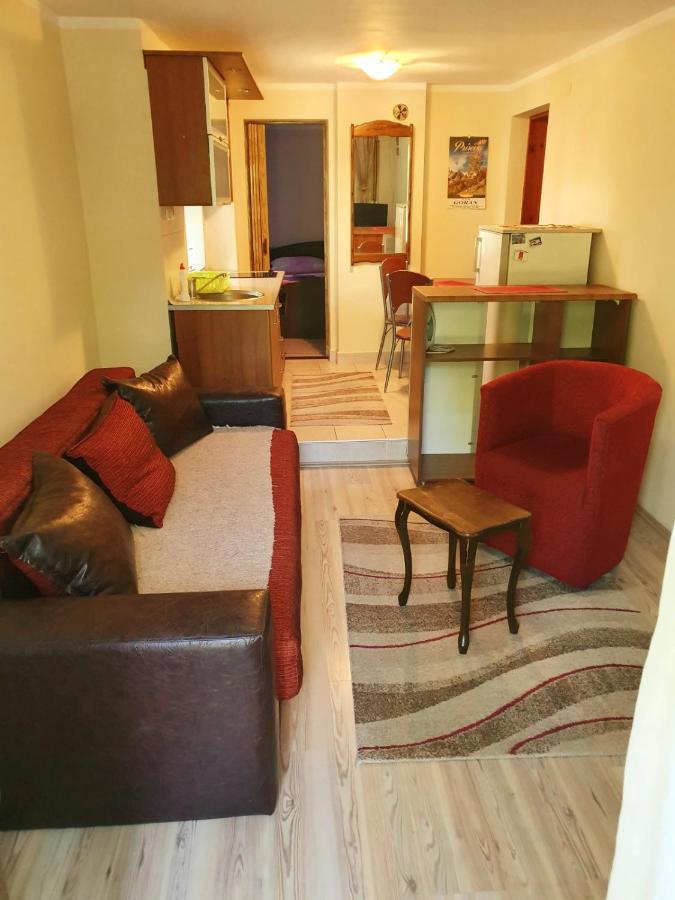 Apartman Sergej 2 Soko Banja Exteriör bild