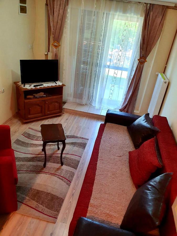 Apartman Sergej 2 Soko Banja Exteriör bild